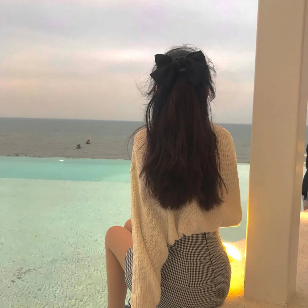 弹钢琴的总统 封面